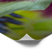 リリー、 ポスター (角)