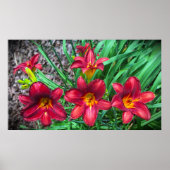 リリー、 ポスター (正面)