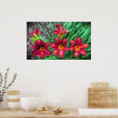 リリー、 ポスター (キッチン)