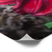 リリー、 ポスター (角)