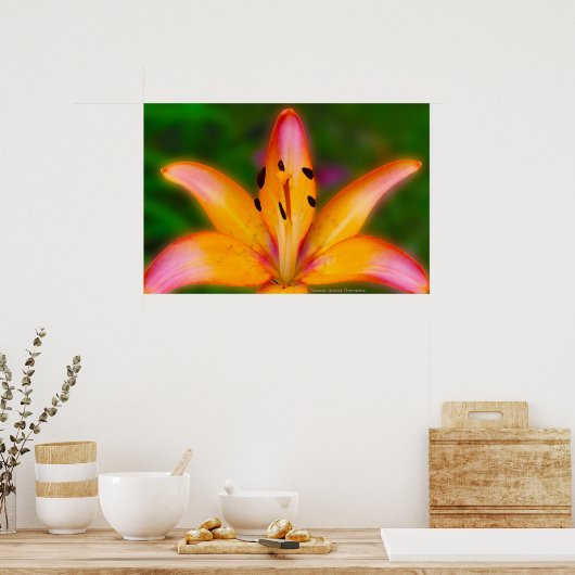 リリー ポスター (キッチン)