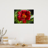 リリー、 ポスター (キッチン)