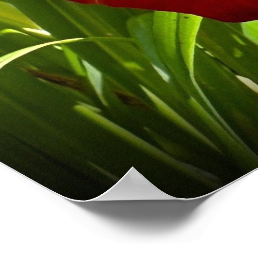 リリー、 ポスター (角)