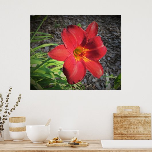 リリー、 ポスター (キッチン)