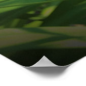 リリー、 ポスター (角)