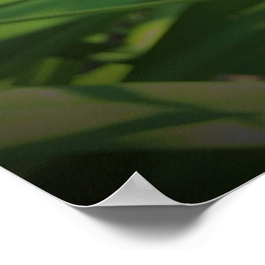 リリー、 ポスター (角)