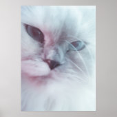 リリー ポスター (正面)