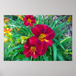 リリー、 ポスター