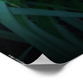 リリー、 ポスター (角)