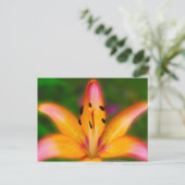 リリー ポストカード (スタンド正面)