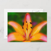 リリー ポストカード (正面/裏面)