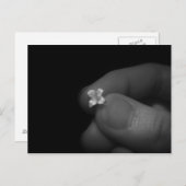 リリー ポストカード (正面/裏面)