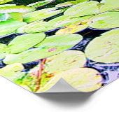 リリー・ポンドーwww.zazzle.com/jbpeanut ポスター (角)