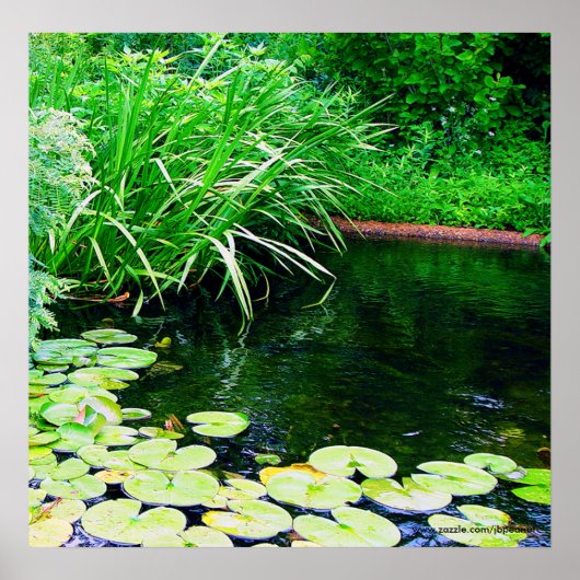 リリー・ポンドーwww.zazzle.com/jbpeanut ポスター (正面)