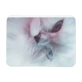 リリー マグネット (横)