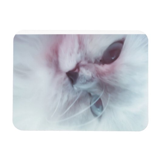 リリー マグネット (横)