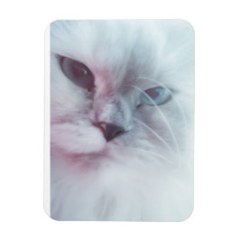 リリー マグネット