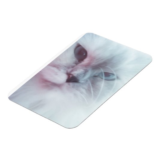 リリー マグネット (左側)