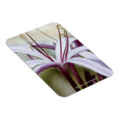 リリー マグネット (右側)