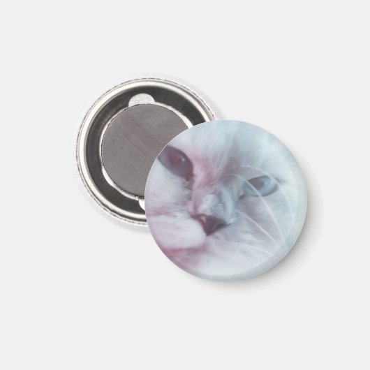 リリー マグネット (正面/裏面)