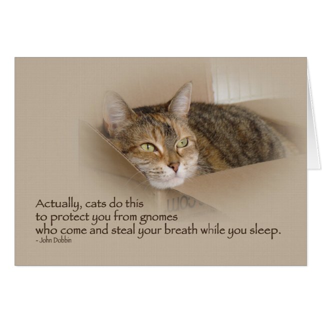 リリー#1 (正面横)