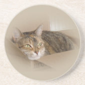 リリー#1 コースター (正面)