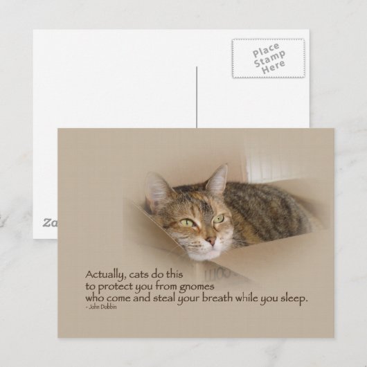 リリー#1 ポストカード (正面/裏面)