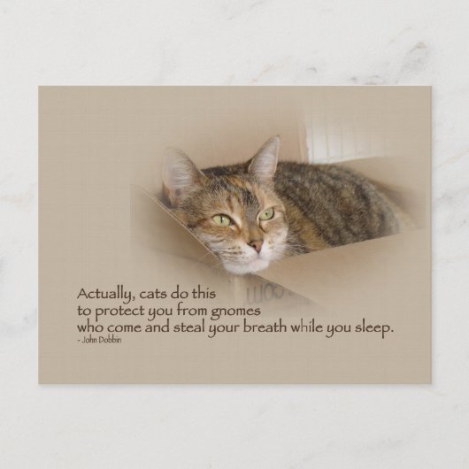 リリー#1 ポストカード (正面)