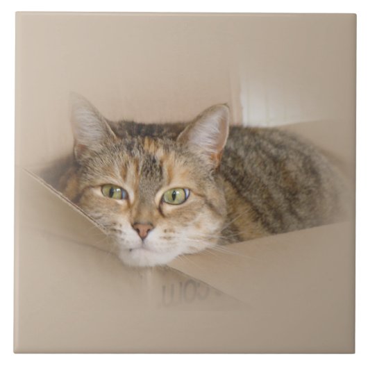 リリー#2 タイル (正面)