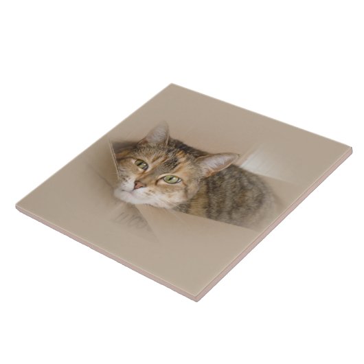 リリー#2 タイル (側面)