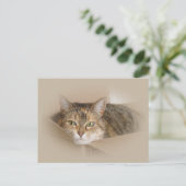 リリー#2 ポストカード (スタンド正面)