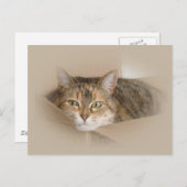 リリー#2 ポストカード (正面/裏面)