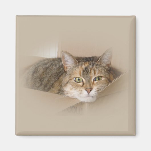 リリー#2 マグネット (正面)