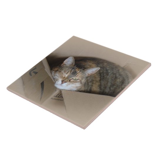 リリー#3 タイル (側面)