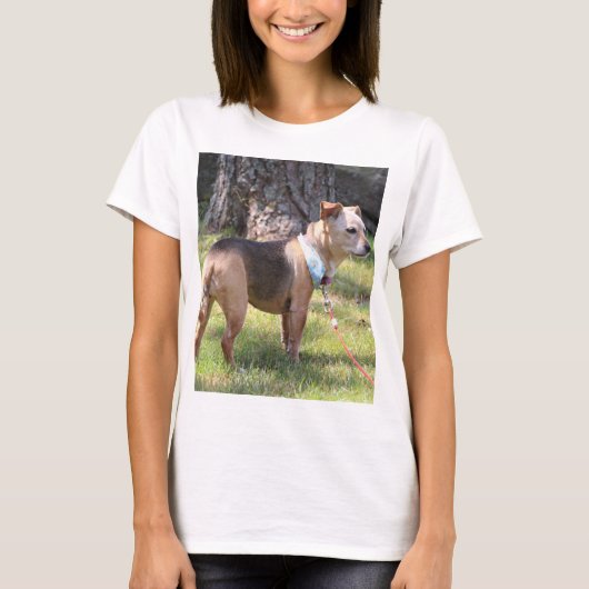 リリー Tシャツ (正面)