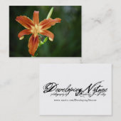 リリーP6588ミニプリント 名刺 (正面/裏面)