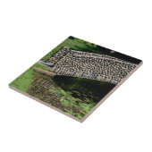 リリ池に石橋自然 タイル (側面)