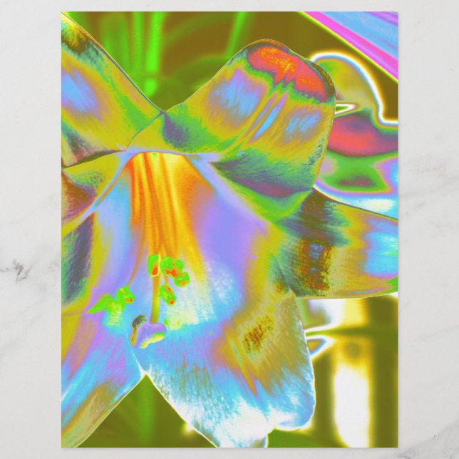 リリ (正面)