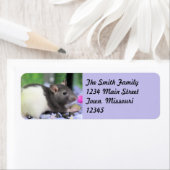 リルラット ラベル (インサイチュ)