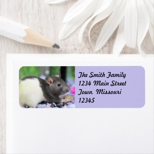 リルラット ラベル (インサイチュ)