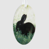 リル·ブラック·バニー オーナメント (正面)