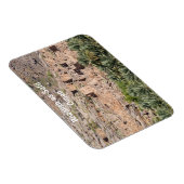 リワイグ・サフィル遺跡 - オマーン・スルタネート マグネット (右側)