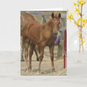 リワン カード (黄色い花)