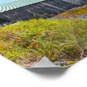 リンカーンカバーブリッジ、秋、ウッドストック、バーモント ポスター (角)