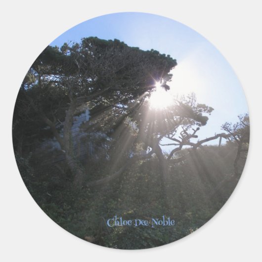 リンカーンシティオレゴン ラウンドシール (正面)