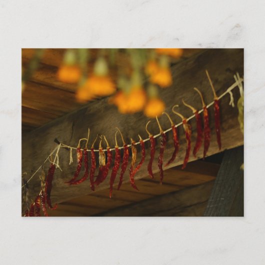 リンカーンログキャビン ポストカード (正面)