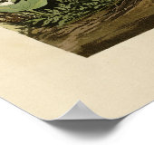 リンカーン・フィンチ ポスター (角)