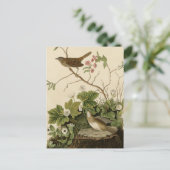 リンカーン・フィンチ ポストカード (スタンド正面)