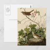 リンカーン・フィンチ ポストカード (正面/裏面)