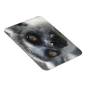 リンガテール型ネールマグネット マグネット (右側)